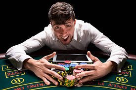 bet cassino